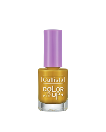 CALLISTA COLOR UP NAIL POLISH 730 9ML pour Accueil