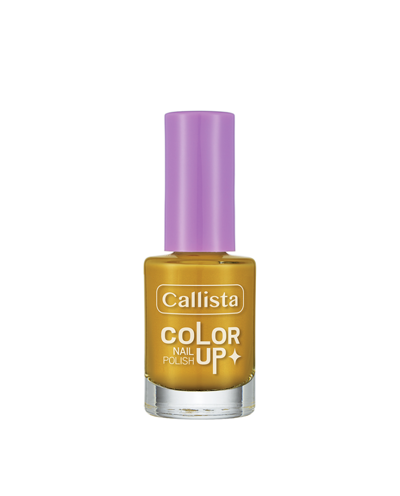 CALLISTA COLOR UP NAIL POLISH 730 9ML pour Accueil