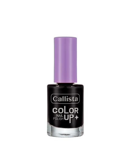 CALLISTA COLOR UP NAIL POLISH 990 9ML pour Accueil
