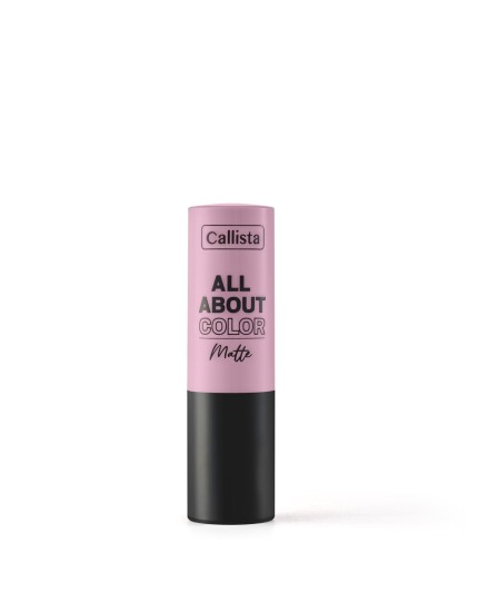 CALLISTA ALL ABOUT COLOR MATTE LIPSTICK 503 4GR pour Accueil