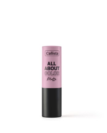 CALLISTA ALL ABOUT COLOR MATTE LIPSTICK 503 4GR pour Accueil