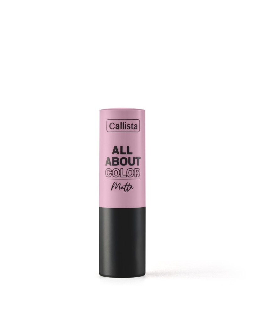 CALLISTA ALL ABOUT COLOR MATTE LIPSTICK 503 4GR pour Accueil