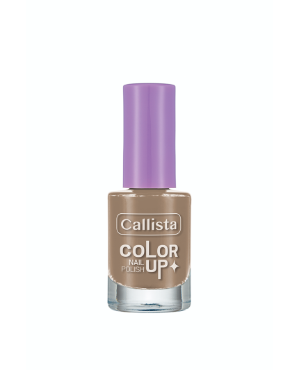 CALLISTA COLOR UP NAIL POLISH 210 9ML pour Accueil