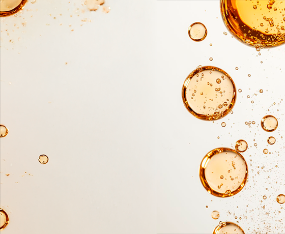 cms-banner3